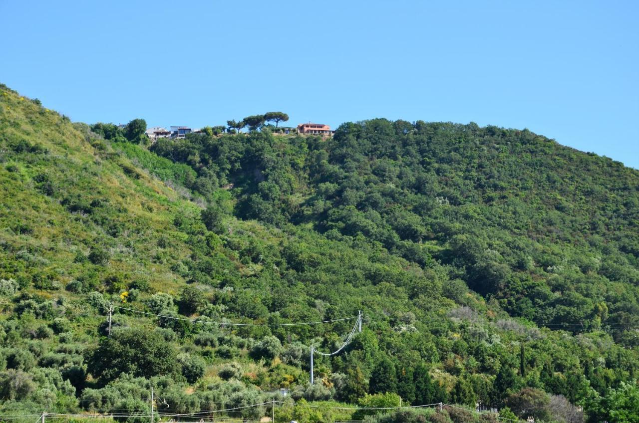 Penthouse Mare E Monti Apartment Tropea Exterior photo